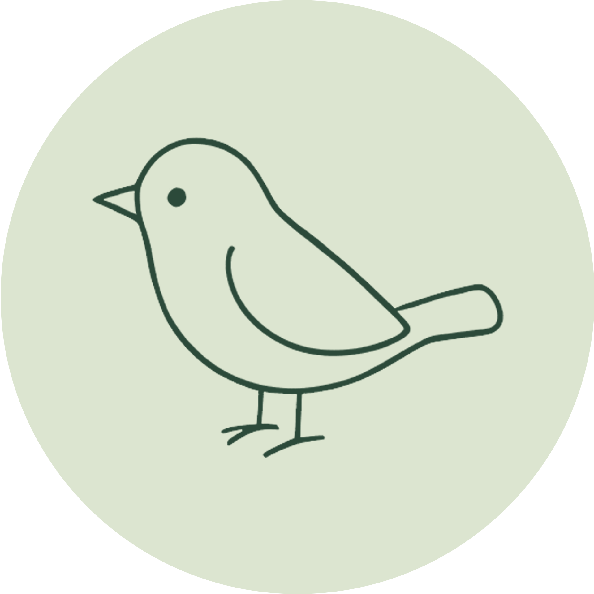 Vögel
