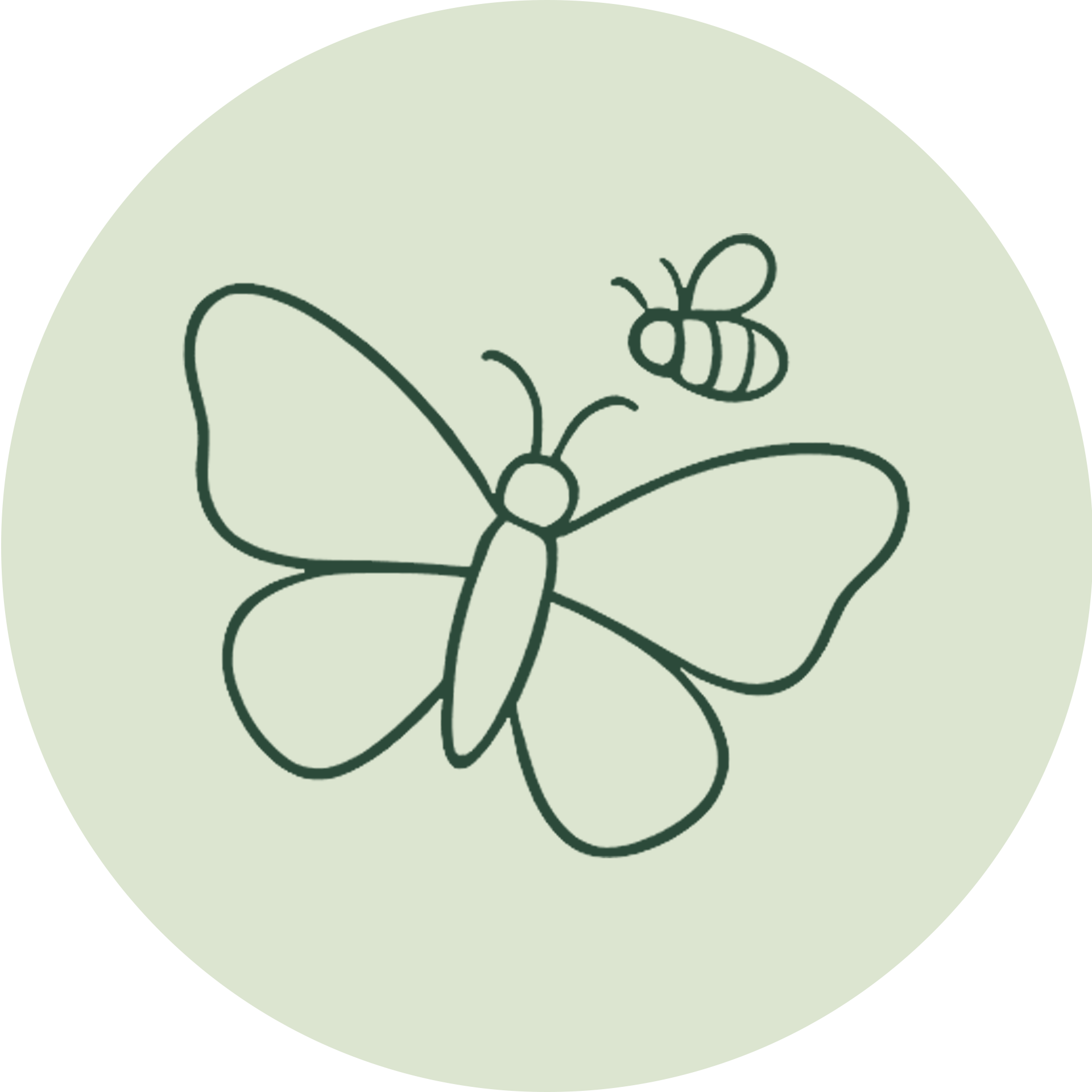 Insekten