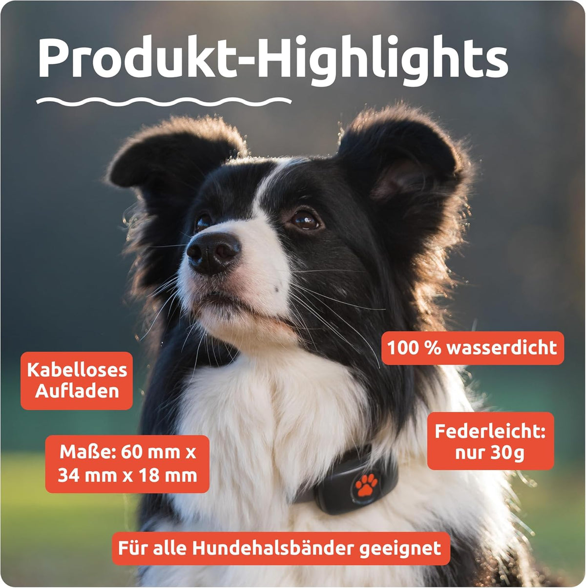 GPS Hundetracker ohne Abo Satellitenortung Echtzeit Standort Tracking wasserdicht universell Halsband