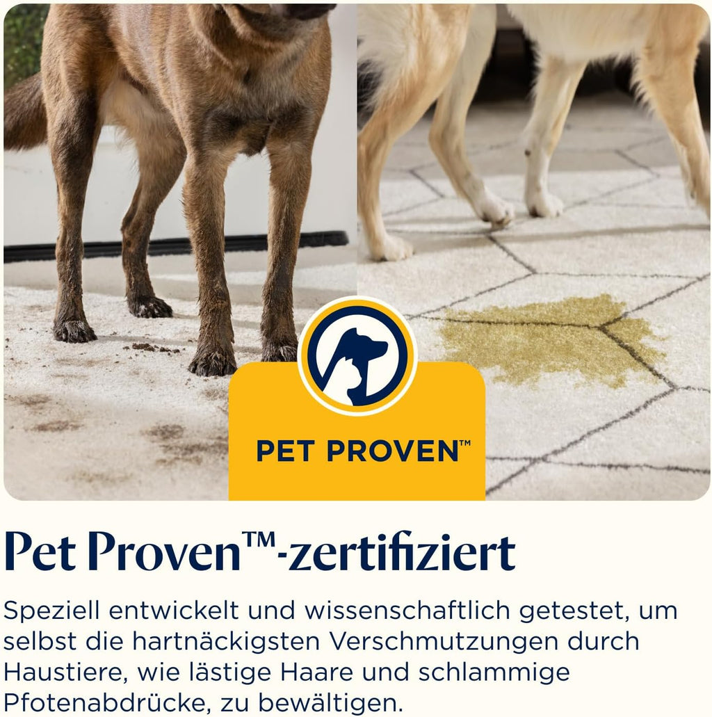 Polsterreiniger Teppichreiniger SpotClean C5 400W Nasssauger tragbar 3,72 kg für Teppiche Polster Auto
