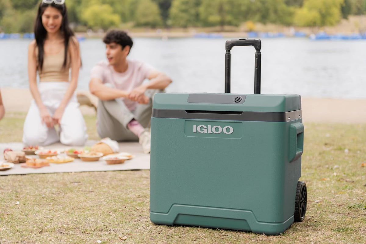 Elektrische Kühlbox IE42 42L 12V 230V thermoelektrisch mit Rollen Teleskopgriff Eco Modus für Auto Camping Boot