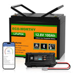 LiFePO4 Batterie 12V 100Ah mit Bluetooth BMS und 12/24V 20A Ladegerät Low Temperatur Schutz für Wohnmobil Boot