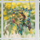 Holografischer Acryl-Feen-Sonnenfänger mit Schmetterlingsflügeln, Laterne & Eichhörnchen, Fensterdekoration, 3,5-12 Zoll