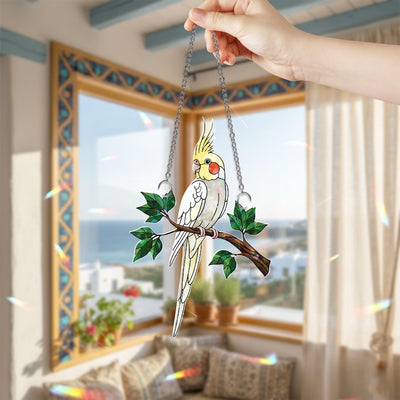 Hologramm Acryl Suncatcher Nymphensittich Vogel Fenster Deko 3 mm