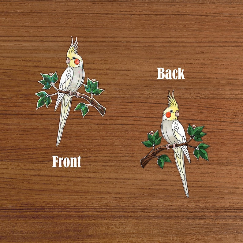 Hologramm Acryl Suncatcher Nymphensittich Vogel Fenster Deko 3 mm