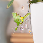 Handgefertigte Luna Motte Glas Pflanzenstecker Kristall Sonnenfänger Gartenschmuck 4x6 Zoll